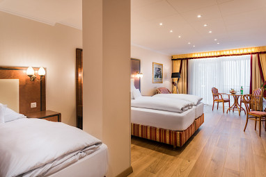 Bellevue Rheinhotel: Chambre