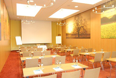Hotel Vitalis: Sala de conferencia