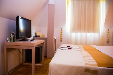 Hotel Satu Mare City: Kamer
